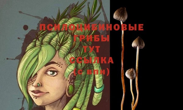 МДМА Няндома