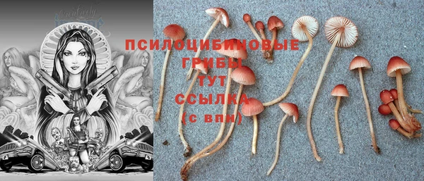 МДМА Няндома