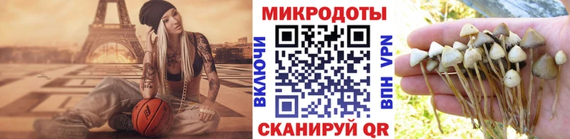 Галлюциногенные грибы Psilocybe  Сатка 