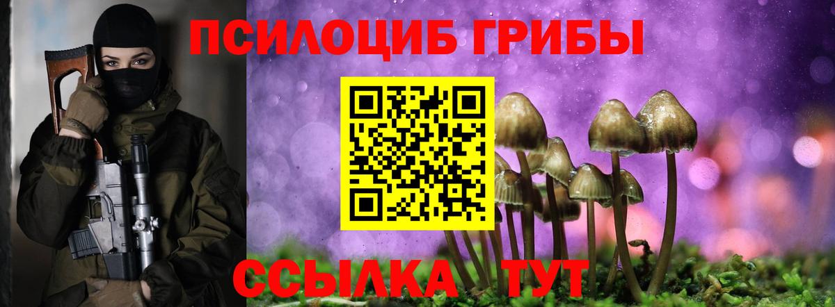 Псилоцибиновые грибы Psilocybe Сатка
