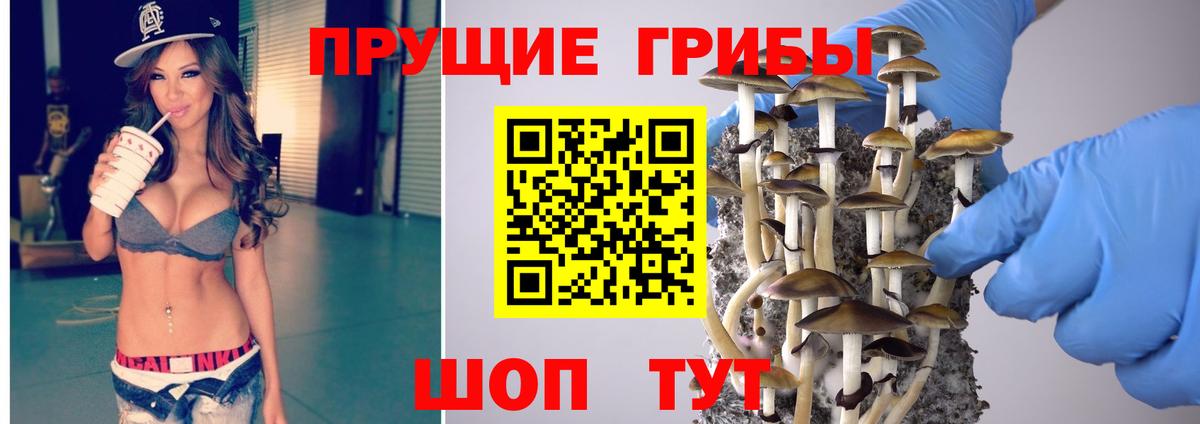 Сатка  Псилоцибиновые грибы Magic Shrooms  наркота  Вход с VPN 